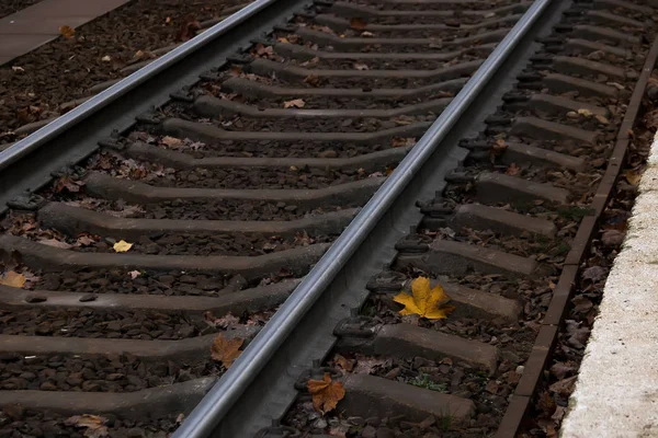 Railway Tracks Autumn Leaves — Stock Photo, Image