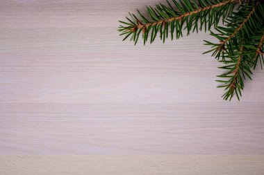 Köknar dalları ve metin için yeri olan Noel arkaplanı