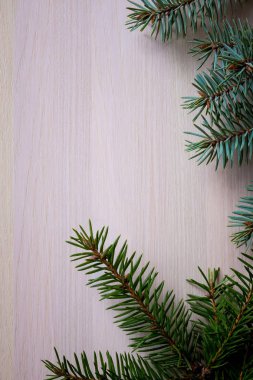 Köknar dalları ve metin için yeri olan Noel arkaplanı