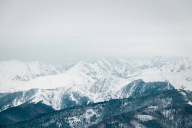 manzara dağları orman ve kar