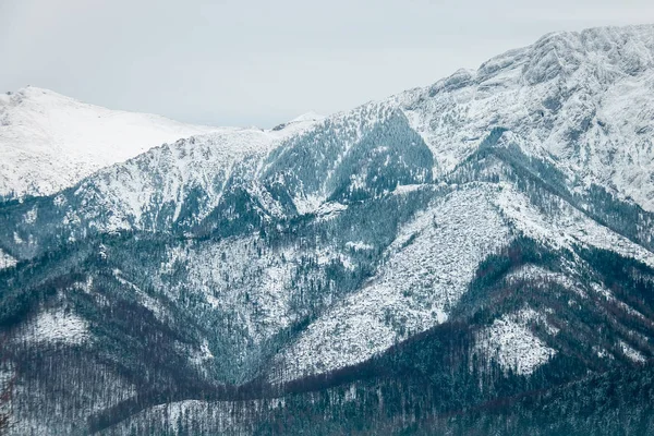 Landschaft Berge Wald Und Schnee — Stockfoto