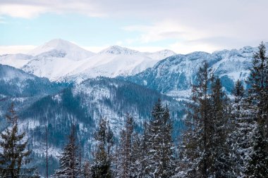 manzara dağları orman ve kar