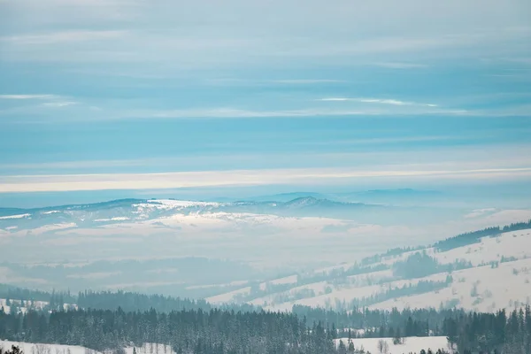manzara dağları orman ve kar
