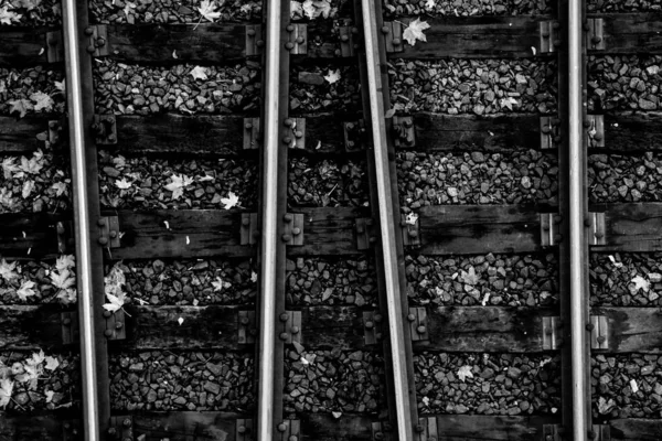 Black White Railway Tracks — Stock Photo, Image