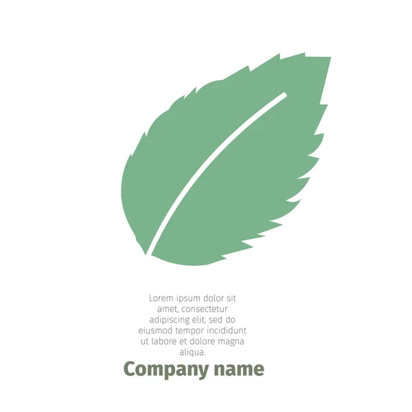 Hortelã Logotipo Para Companhia Folhas Hortelã Isoladas Fundo Branco Vetor — Vetor de Stock