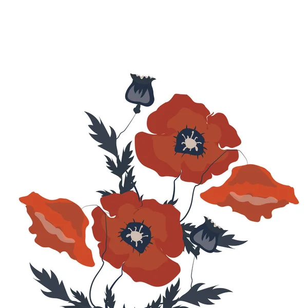 Fleurs abstraites, Coquelicots isolés, Illustration dessinée à la main, Croquis — Image vectorielle