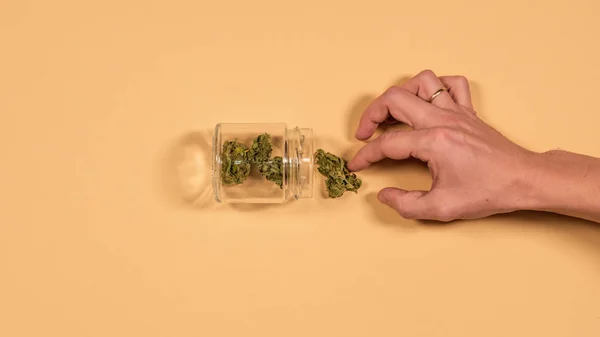 Eine gläserne Bank mit frischen Marihuana-Knospen in den Händen eines Mannes. fl — Stockfoto