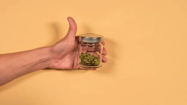 Un banco de cristal con cogollos de marihuana fresca en las manos de un hombre. Fl — Foto de Stock