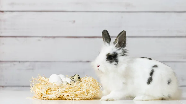 Close-up of cute white bunny is sitting near straw nest with eggs, on wooden background. Concept of Easter Holliday and symbol of spring