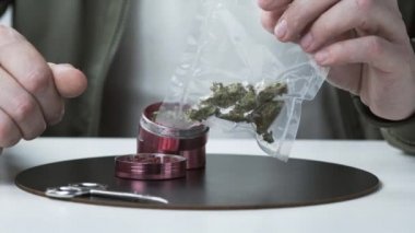 Vakumlu fokların içinde tıbbi marihuana tomurcukları tutan erkeklerin yakın çekimleri. Esrar bir bitkisel veya alternatif tıp kavramıdır.