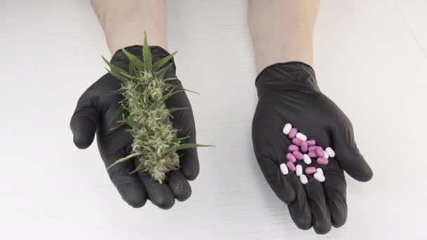 医療用マリファナの芽と丸薬を保持する保護黒手袋の男性の手のクローズアップ 大麻の栽培工場 伝統医学と代替医療の選択の概念 — ストック動画