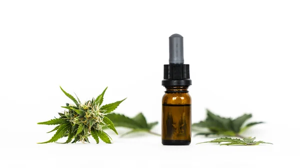 Close Hand Holding Pipette Hemp Oil Marijuana Buds Medicinal Extract — Stock Photo, Image