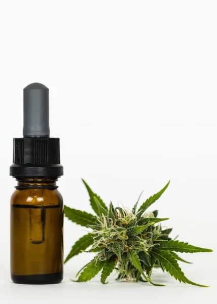 Kenevir yağı ve marihuana tomurcuklarıyla el ele tutuşmalar. İlaç özütü yağı şişede. Tedavi için kenevir otu ve yaprakları kullanma kavramı