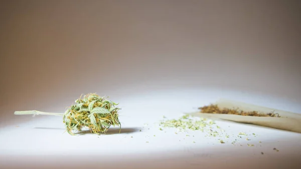 Papierrollen Und Medizinische Marihuana Knospen Aus Nächster Nähe Eigenanbau Von — Stockfoto