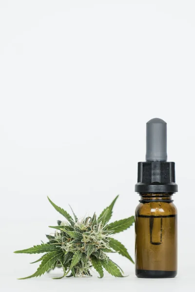 Close Hemp Oil Marijuana Buds Medicinal Extract Oil Bottle Concept — Stock Photo, Image