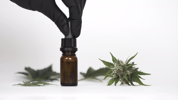 与大麻油和大麻芽牵手的特写镜头 药用香精油装在瓶子里 使用大麻药草和治疗假的概念 — 图库视频影像