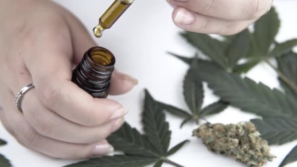 Close Hand Holding Pipette Hemp Oil Marijuana Buds Slow Motion — Stock Video