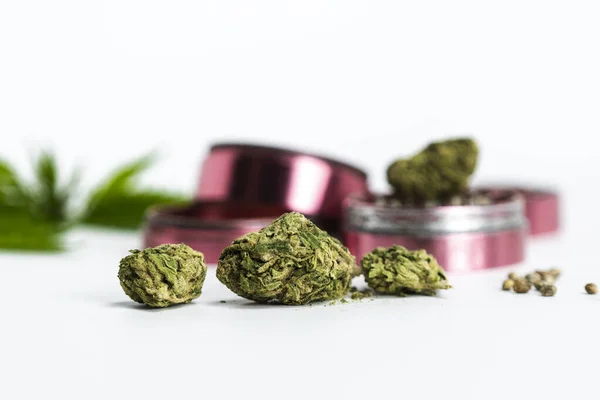 Tıbbi marihuana tomurcukları, kenevir tohumları, yapraklar ve öğütücü beyaz arka planda. Bitkisel ve alternatif tıpta esrar kullanma kavramı