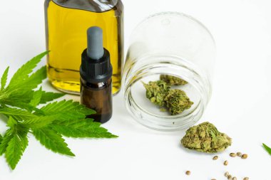 İçinde CBD gerekli yağ bulunan cam şişeler, tıbbi marihuana yaprakları, tomurcuklar ve tohumlar beyaz arka planda, yakın plan. Alternatif ya da bitkisel ilaç, kozmetik CBD yağı kavramları.