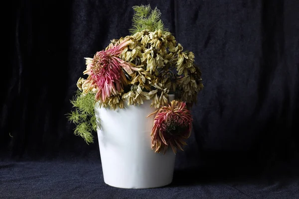 Schwarzer Stoffhintergrund Welke Oder Abgestorbene Blumen Weißer Vase — Stockfoto