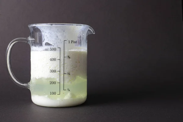 Biologische Probiotische Melk Kefir Drank Yoghurt Schaal Glazen Dop Probiotische Stockafbeelding