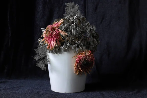 Getrocknete Oder Abgestorbene Blumen Einer Rissigen Vase Schwarzer Hintergrund Isoliert — Stockfoto