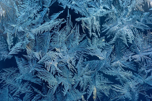 Hoarfrost in inverno — Foto Stock