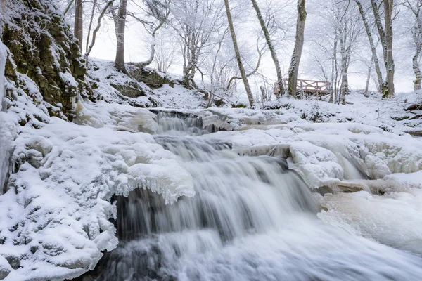 Водопад зимой Стоковая Картинка