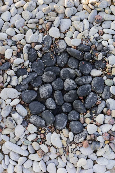 Камни в саду — стоковое фото