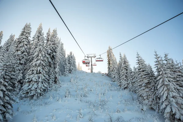 Blick Von Der Seilbahn Auf Den Schönen Schneebedeckten Wald Der — Stockfoto