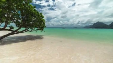 Ağaç El Nido Las Cabanas sahilde su üzerinde. Palawan Adası, Filipinler