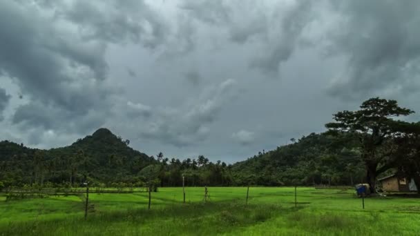 Înnorat în muntele junglei tropicale din insula Palawan, Filipine — Videoclip de stoc