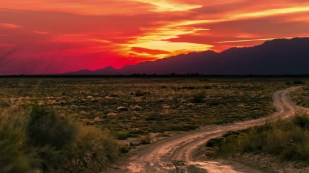 Desert with dry plants at sunset in Altyn Emel national park, Kazakhstan, Central Asia. 4K TimeLapse - September 2016, Almaty and Astana, Kazakhstan — Stock video