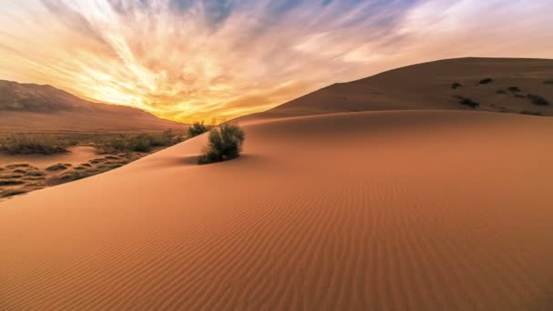 Nascer do sol nas dunas de areia cantando em Altyn Emel. 4K TimeLapse - Setembro 2016, Almaty e Astana, Cazaquistão — Vídeo de Stock