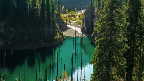 Dead tree tops sticking out of the lake Kaindy. 4K TimeLapse - September 2016, Almaty and Astana, Kazakhstan — Stockvideo