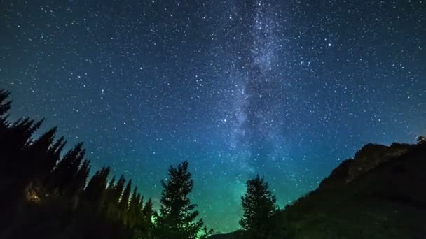 A Via Láctea sobe sobre os pinheiros em primeiro plano. 4K TimeLapse - Setembro 2016, Almaty e Astana, Cazaquistão — Vídeo de Stock