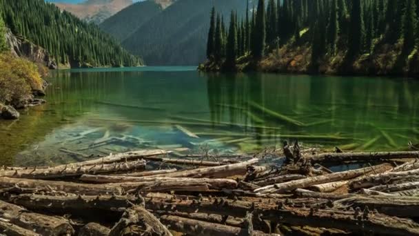 Fallen trees created a dam on the lake water Kolsay. 4K TimeLapse - September 2016, Almaty and Astana, Kazakhstan — Αρχείο Βίντεο