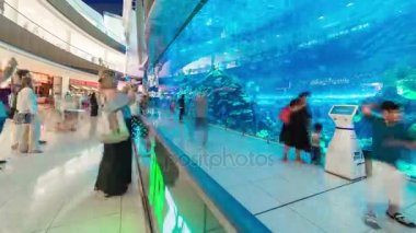 Timelapse insanların önünde Dubai akvaryum ve sualtı Dubai Alışveriş Merkezi içinde