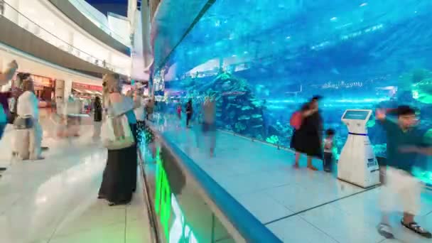 Timelapse of People davanti al Dubai Aquarium e Underwater all'interno del Dubai Mall — Video Stock