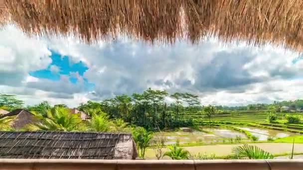 Gyorsított futó felhők fölött zöld rizs mezők Ubud, Bali szigetén, Indonézia. Nézd a szállástól, és felülről tetejét szalmából készült tető. — Stock videók