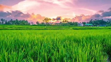 Güzel gün batımı zaman atlamalı bulutlar Ubud Endonezya Bali Adası üzerinde çalışan ile yeşil pirinç terasları üzerinde.