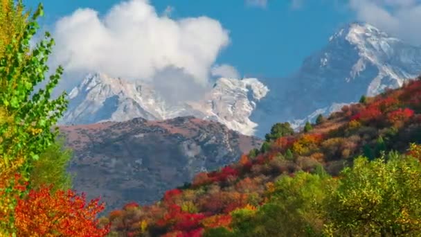 游戏中时光倒流的山秋天风景用彩林和高耸的山峰 — 图库视频影像