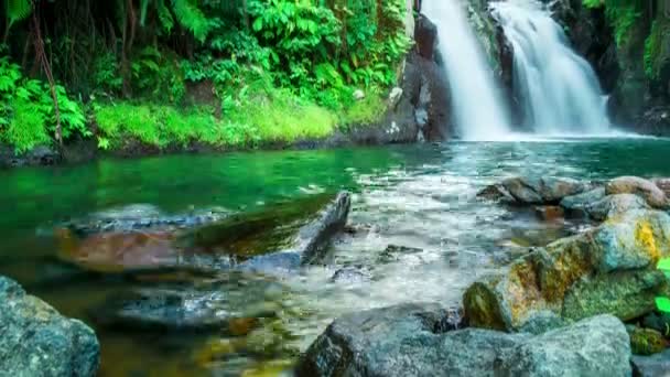 Timelapse vattenfall i djup regnskog djungel i Bali, Indonesien — Stockvideo