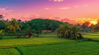Jatiluwih pirinç terasları Bali, Endonezya üzerinden Timelapse güzel gündoğumu