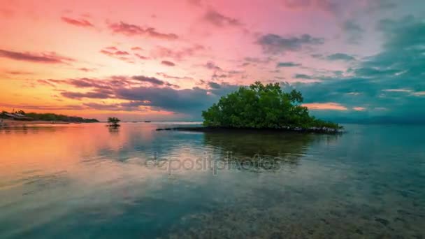 Manguezal Timelapse em maré baixa ao pôr do sol em Nusa Lembongan, Bali, Indonésia — Vídeo de Stock