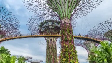 Bahçe Singapur koyunda tarafından futuric süper ağaçlarda. Ağustos 2017. Yukarı Timelapse taşı.