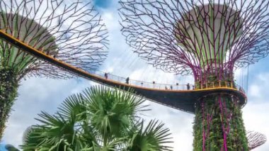 Closeup Timelapse peyzaj Bahçe Singapur bay tarafından. Ağustos 2017