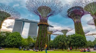 Glade supertrees Bay Singapur tarafından Gardens yakınındaki Timelapse insanlar. Ağustos 2017