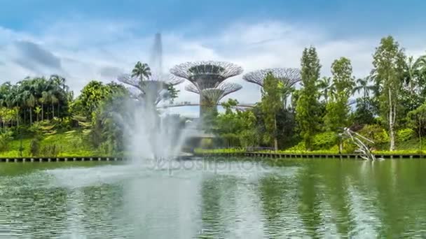 Timelapse fontanny w ogrodzie przez zatokę w Singapurze. Sierpnia 2017 — Wideo stockowe