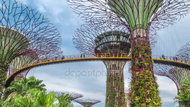 Futuric szuper fák a kert: Szingapúr-öböl mellett. Augusztus 2017. TimeLapse kamera mozog. — Stock videók